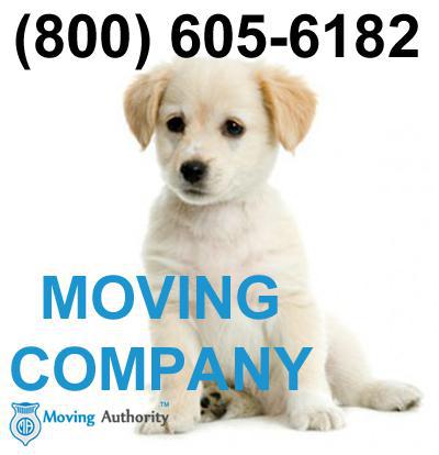 Anywhere Moving & Storage Inc logo 1