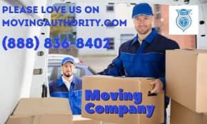 Blue Ox Moving Company logo 1